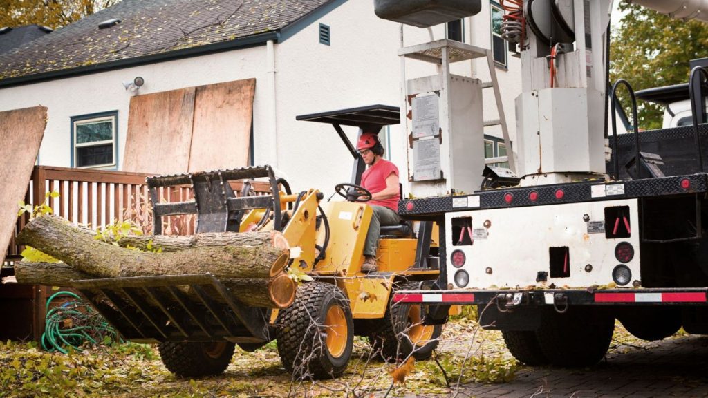 Storm Damage Cleanup: Ensuring Safety and Property Protection